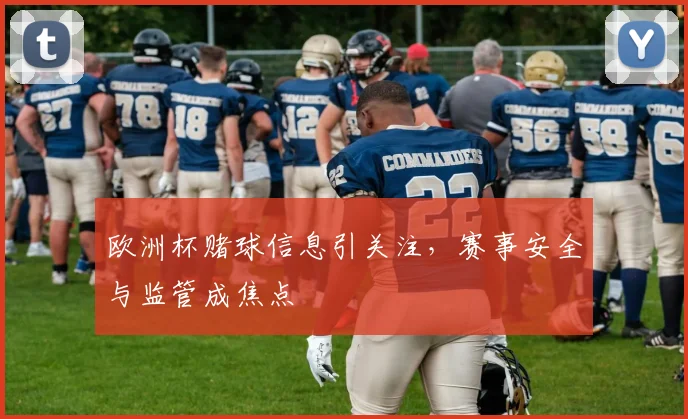 欧洲杯赌球信息引关注，赛事安全与监管成焦点