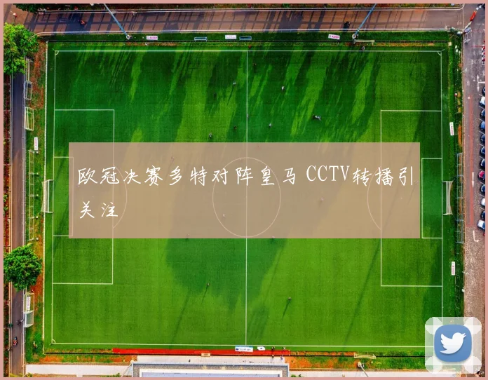 欧冠决赛多特对阵皇马 CCTV转播引关注